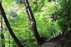 高尾山