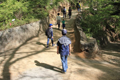 高尾山