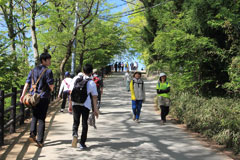 高尾山