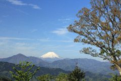 高尾山