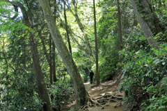 高尾山