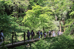 高尾山