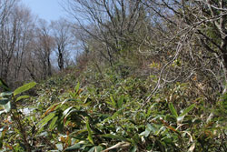 男鹿岳