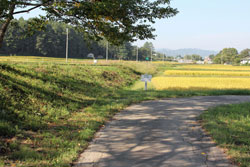 斎藤山