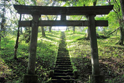 斎藤山