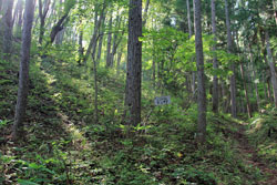 斎藤山
