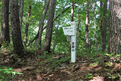 斎藤山