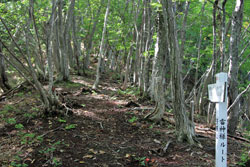 斎藤山