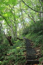 斎藤山