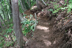 斎藤山
