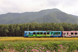 斎藤山