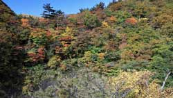 安達太良山（湯川渓谷）