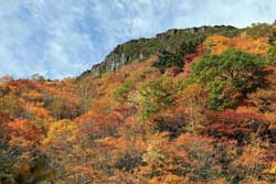 安達太良山（湯川渓谷）