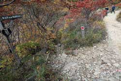 安達太良山（湯川渓谷）