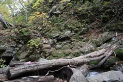 安達太良山（湯川渓谷）