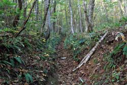安達太良山（湯川渓谷）