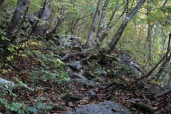 安達太良山（湯川渓谷）