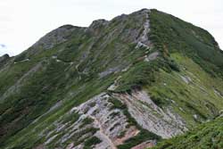爺ケ岳・鹿島槍ヶ岳