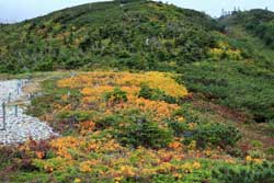 爺ケ岳・鹿島槍ヶ岳