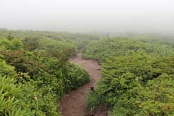 三本槍岳
