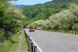 戦場ヶ原