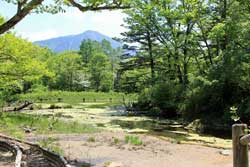 戦場ヶ原