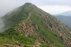 至仏山