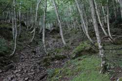 奥白根山