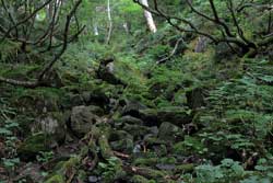 奥白根山