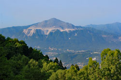 石灰岩と共に