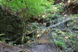石灰岩と共に