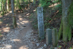 石灰岩と共に