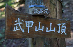 石灰岩と共に