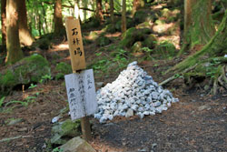 石灰岩と共に