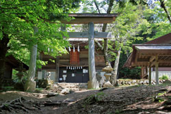 石灰岩と共に