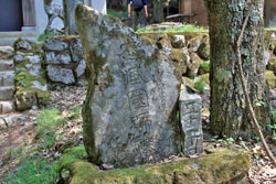 石灰岩と共に