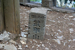 石灰岩と共に