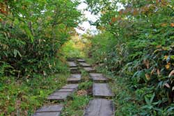 錦の絨毯~月山