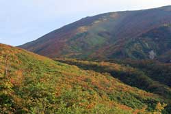 錦の絨毯~月山