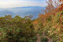 錦の絨毯~月山