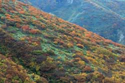 錦の絨毯~月山