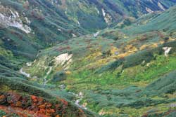 錦の絨毯~月山