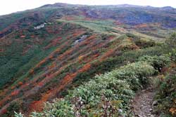 錦の絨毯~月山