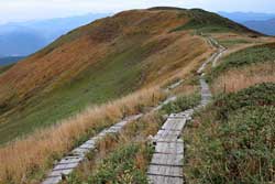 錦の絨毯~月山