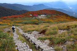 錦の絨毯~月山