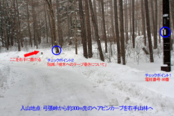 アイスブルーに輝く庵滝