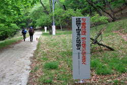 圧巻の渓谷美