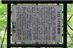 圧巻の渓谷美