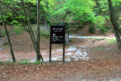 圧巻の渓谷美