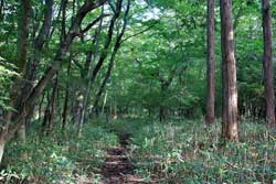 仲秋の釈迦ケ岳・中岳・西平岳を巡る